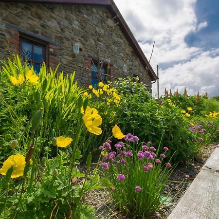 Tyn Rhos Country House Caernarfon Kültér fotó